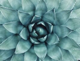 The Mental Health Journey: Balancing Academics and Wellness