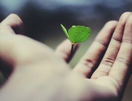 Learning to Adapt: Flexibility and Growth Mindset in Lifelong Education