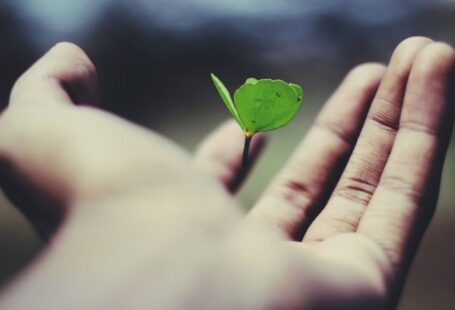 Growth Mindset - floating green leaf plant on person's hand