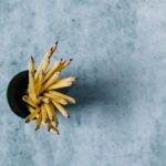 Personalized Learning - yellow flower on gray surface