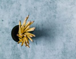 Personalized Learning Paths: the Future of Individualized Education