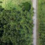 Campus Sustainability - aerial photography of vehicle on grey road beside trees during daytime