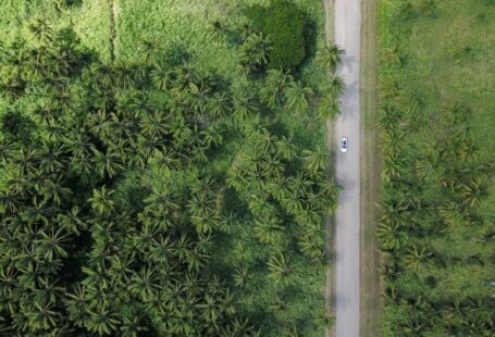 Campus Sustainability - aerial photography of vehicle on grey road beside trees during daytime