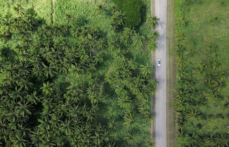 Campus Sustainability - aerial photography of vehicle on grey road beside trees during daytime
