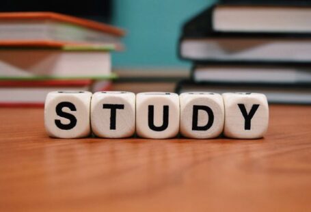 Study Abroad - Gray Study Dice on Table