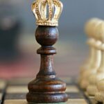 Critical Thinking - Chess Piece