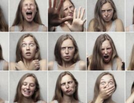 Emotional Intelligence: the Key to Success in Life and Work