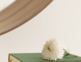 Stem Skills in the 21st Century: More Important than Ever